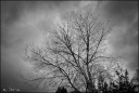 L\'orage approche - 13.03_tonemapped-800.jpg