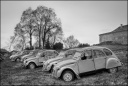 Les Fêtes de St Mont - 2CV - Gers - 26.03_tonemapped-800.jpg