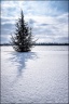 Ambiances Hivernales