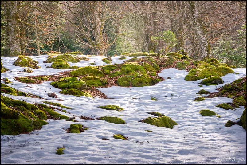 Le Chiroulet - 10.03_HDR8-800.jpg