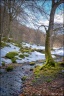 Balade rafraîchissante en forêt