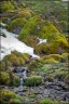 Balade rafraîchissante en forêt