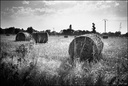 Balade Monochrome - 25.07.2013-18-900-2.jpg