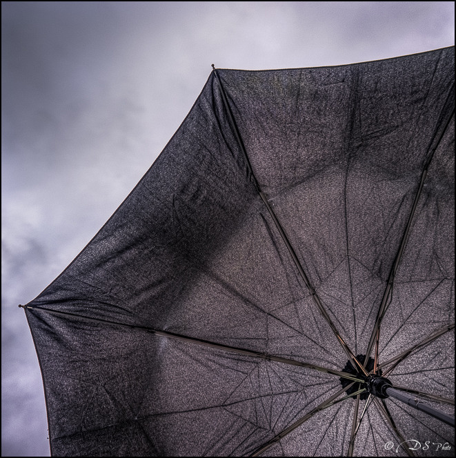 parapluie.jpg
