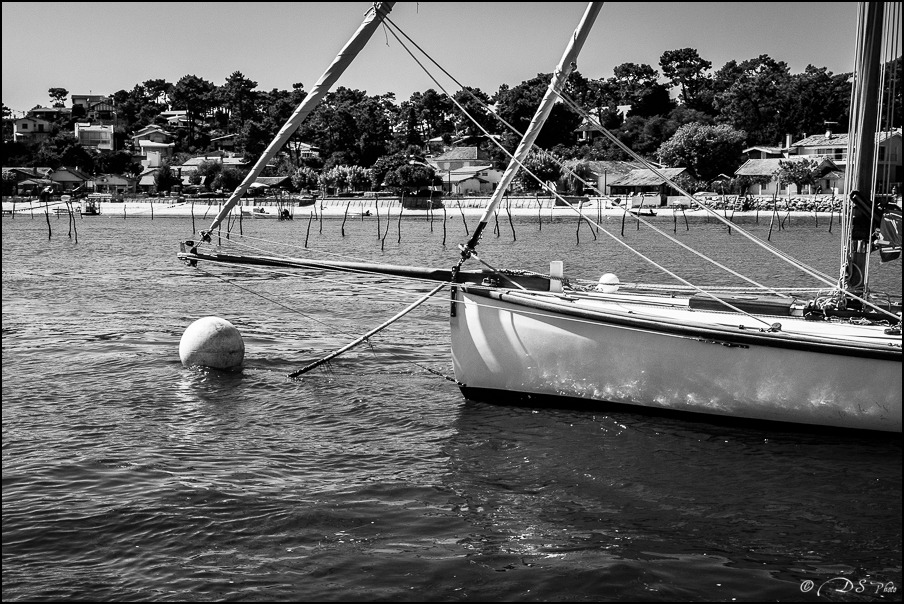 Bassin d'Arcachon - 31.08 - 07.09.2013-1247-800-2.jpg