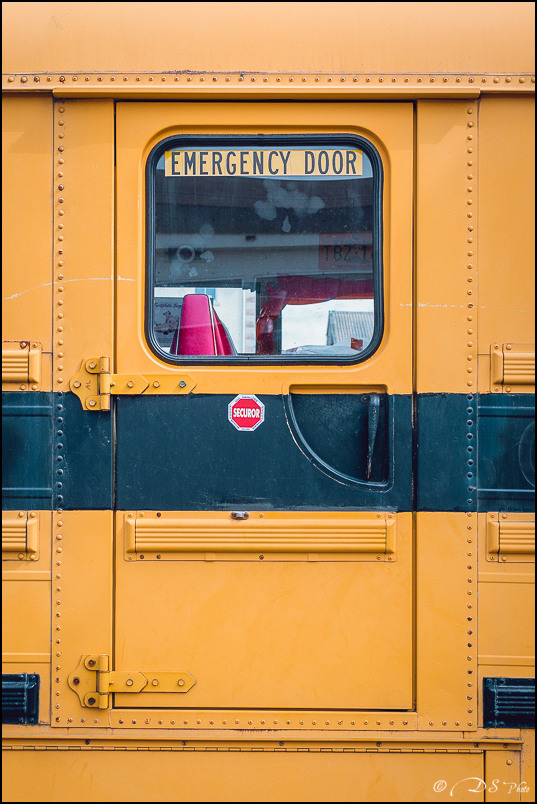 School Bus - 09.06.2014-6-800-2.jpg