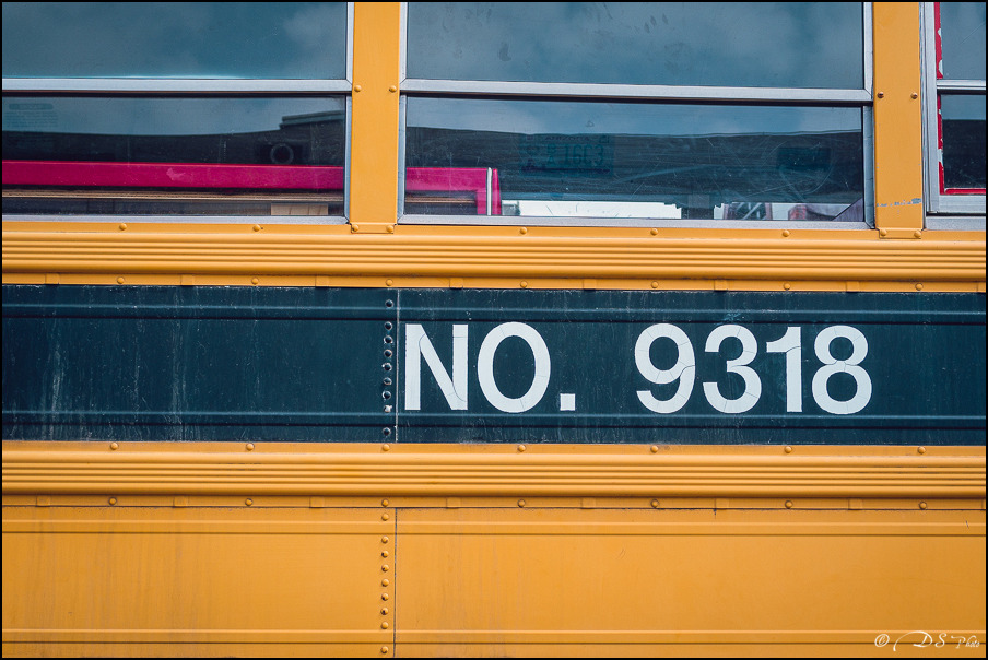 School Bus - 09.06.2014-5-800.jpg
