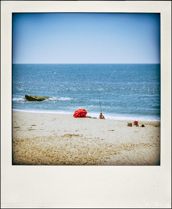 Bassin d'Arcachon - 31.08 - 07.09.2013-207-pleinetaille-pola-800-2.jpg