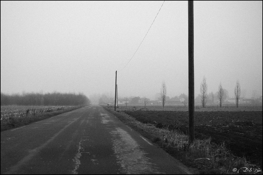 Sortir du brouillard - 20.03.2015-2-800.jpg