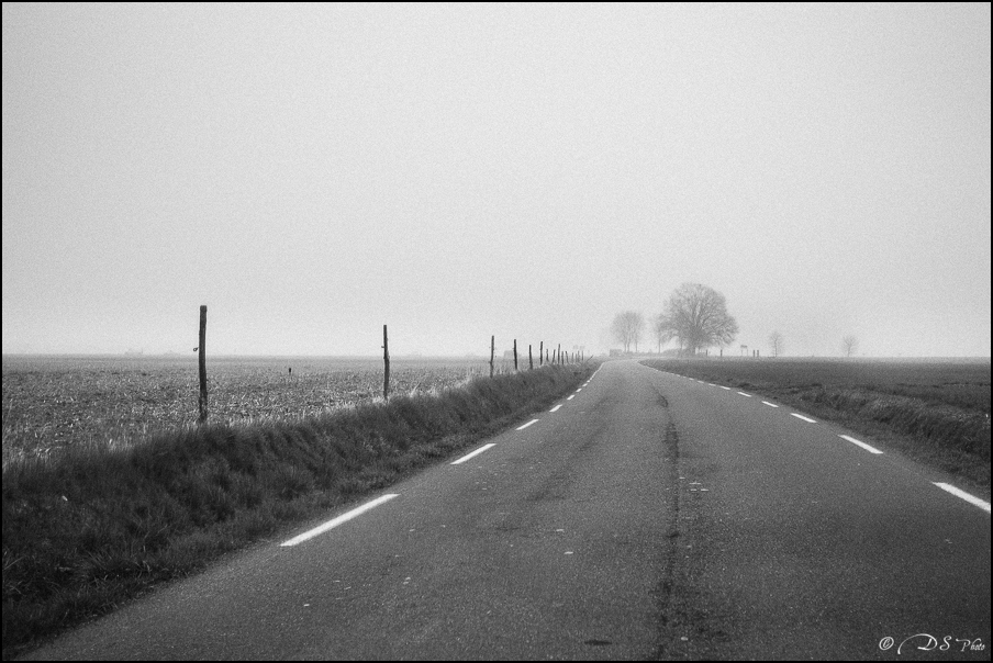 Sortir du brouillard - 20.03.2015-176-800.jpg
