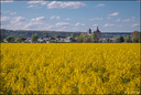 Colza, Collégiale, Clocher...