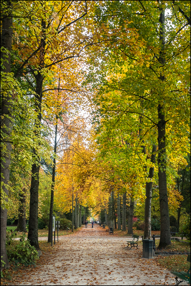 2015-10-25 - Les parures de l'Automne-36-800.jpg