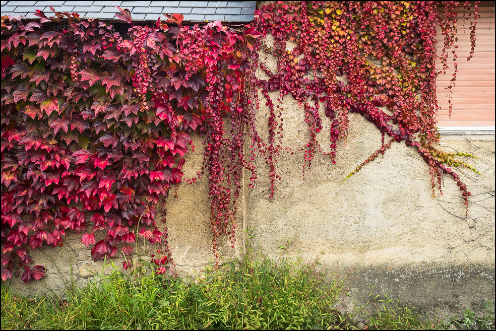 2015-10-24 - Les habits de l'Automne-4-800.jpg