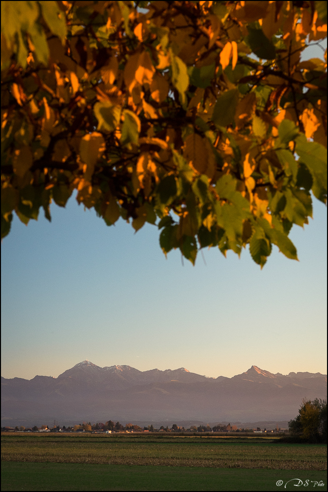 2015-11-08 - Les parures de l'automne-120-800.jpg