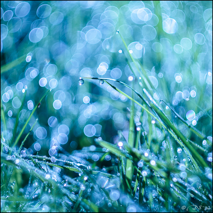 En suspension II 20161102213206-01bc7d7e