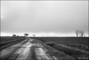 2017-01-03 - Brouillard sur Tarbes-4-800.jpg