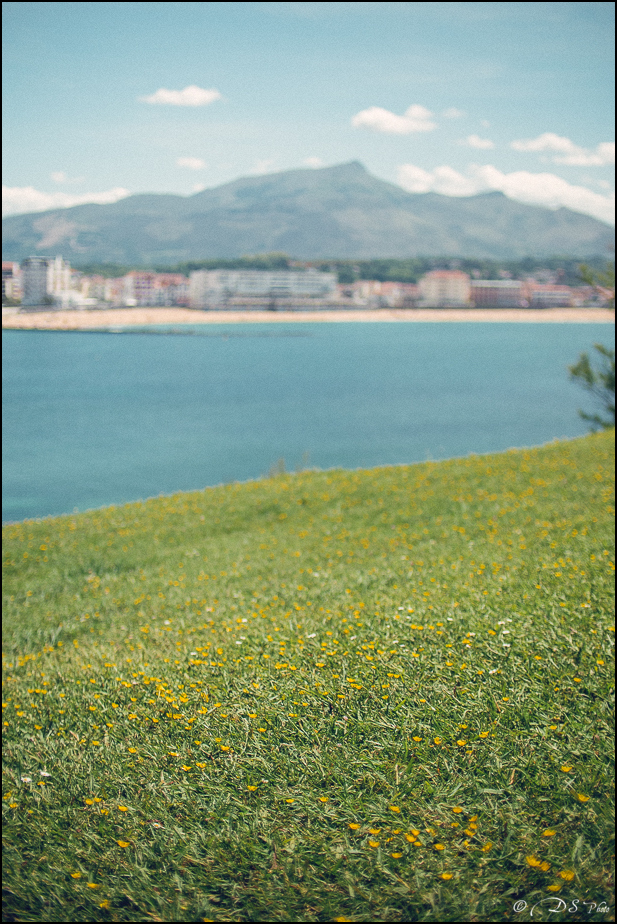 2017-05-07 - Saint Jean de Luz Couleurs et Lumières-96-800.jpg