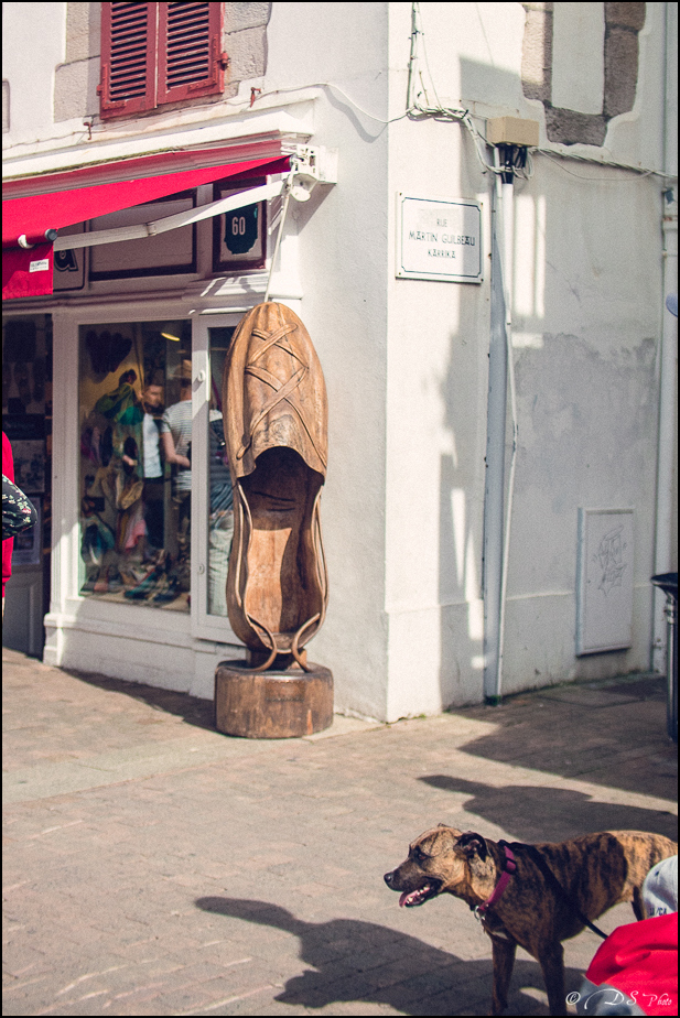 2017-05-07 - Saint Jean de Luz Couleurs et Lumières-284-800.jpg