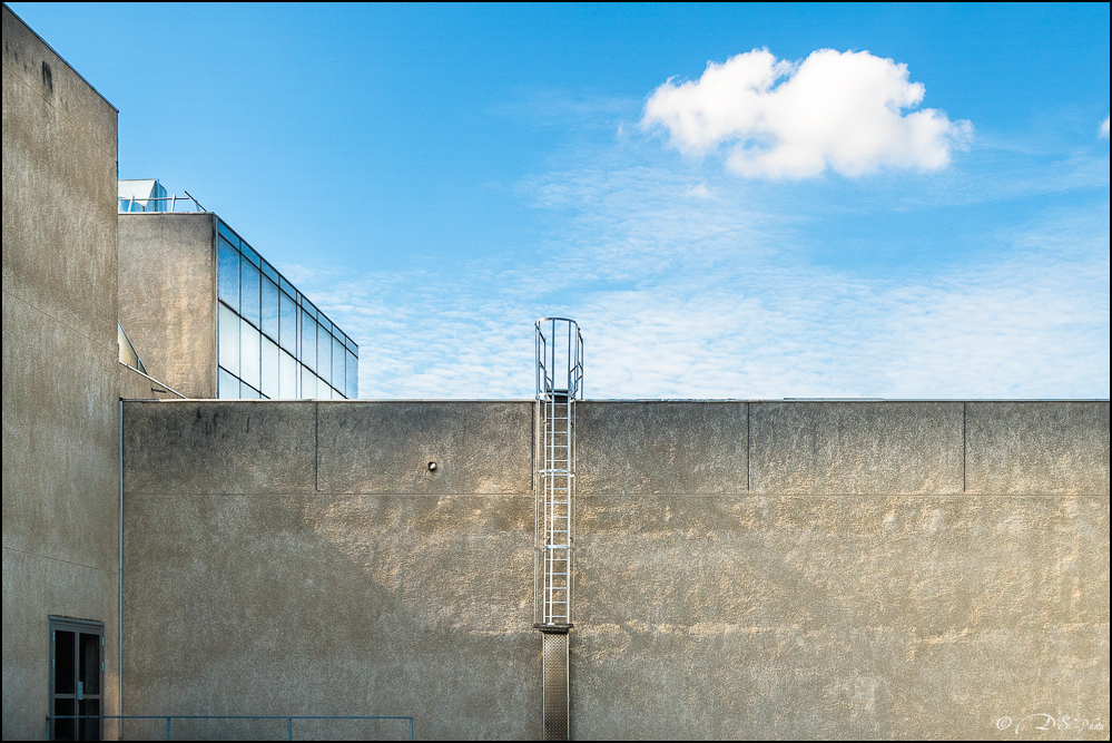 2017-07-26 - L'escalier à nuage-3-800-2.jpg