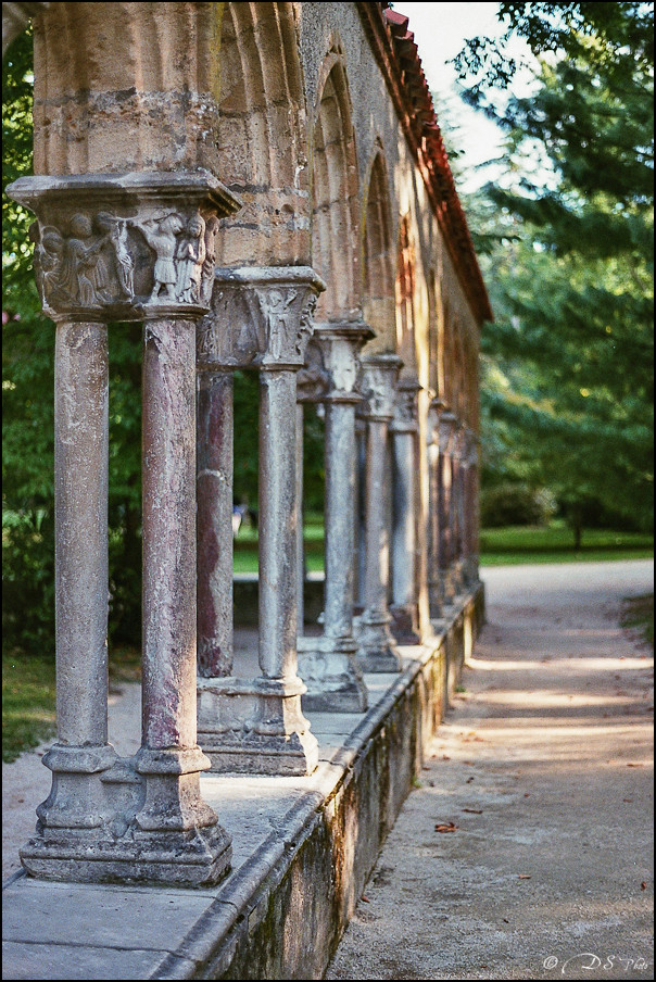 Argentique OM-2 - Film 1 - Fuji 400 - Avril-Septembre 2017-2-800.jpg