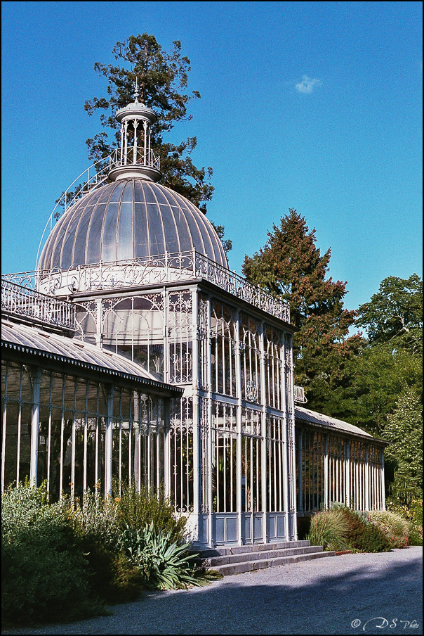 Argentique OM-2 - Film 1 - Fuji 400 - Avril-Septembre 2017-4-800.jpg