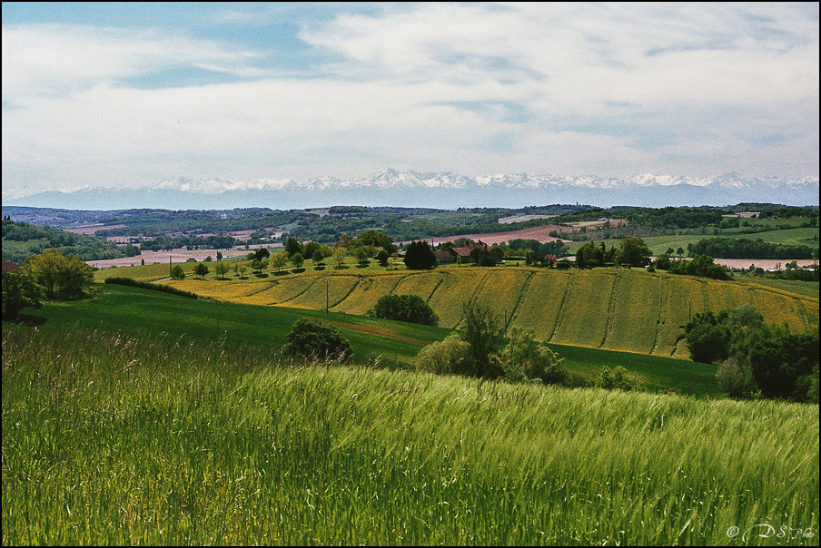 Argentique OM-2 - Film 1 - Fuji 400 - Avril-Septembre 2017-18-800.jpg