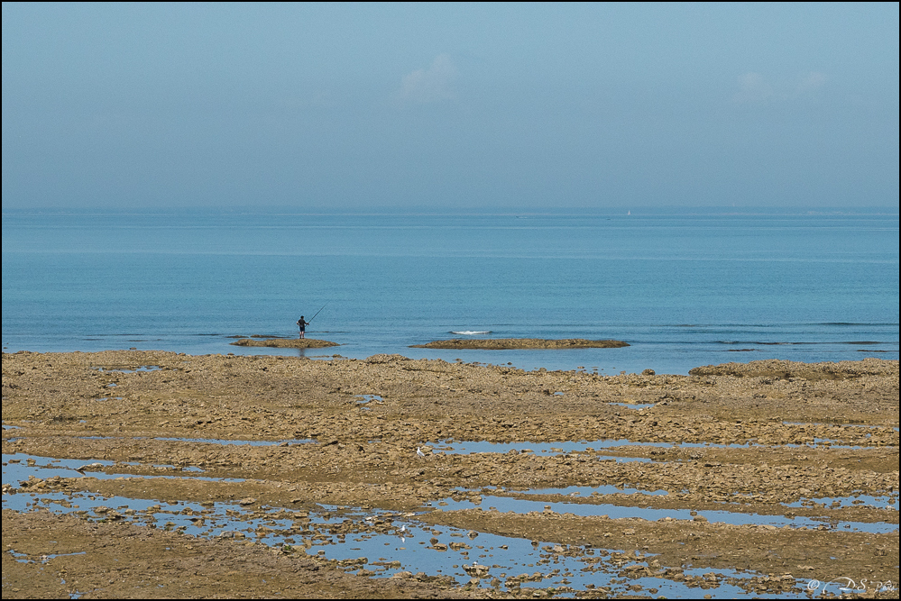 2017-08-28 - Vacances La Rochelle-715-800-2.jpg