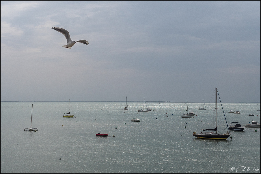 2017-08-28 - Vacances La Rochelle-1258-800.jpg