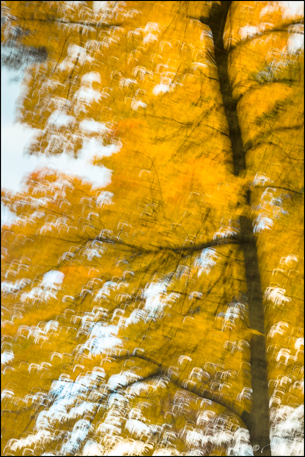 Les brises d'automne... 20171113112525-30c270de