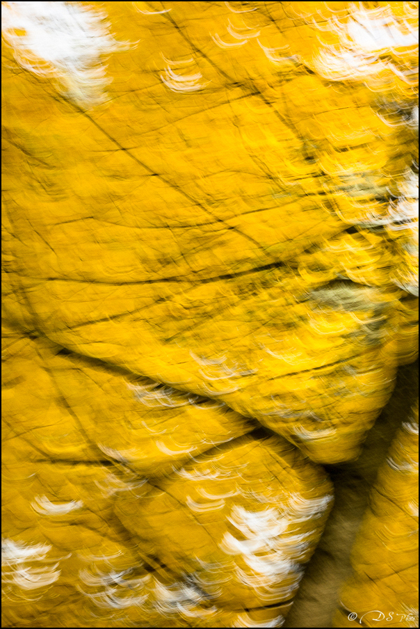 Les brises d'automne... 20171113112536-622b3423
