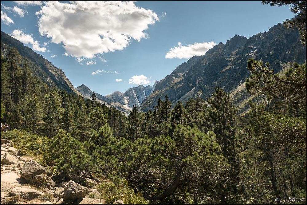 2017-08-23 - Pont d'Espagne et Lac de Gaube-116-800-2.jpg