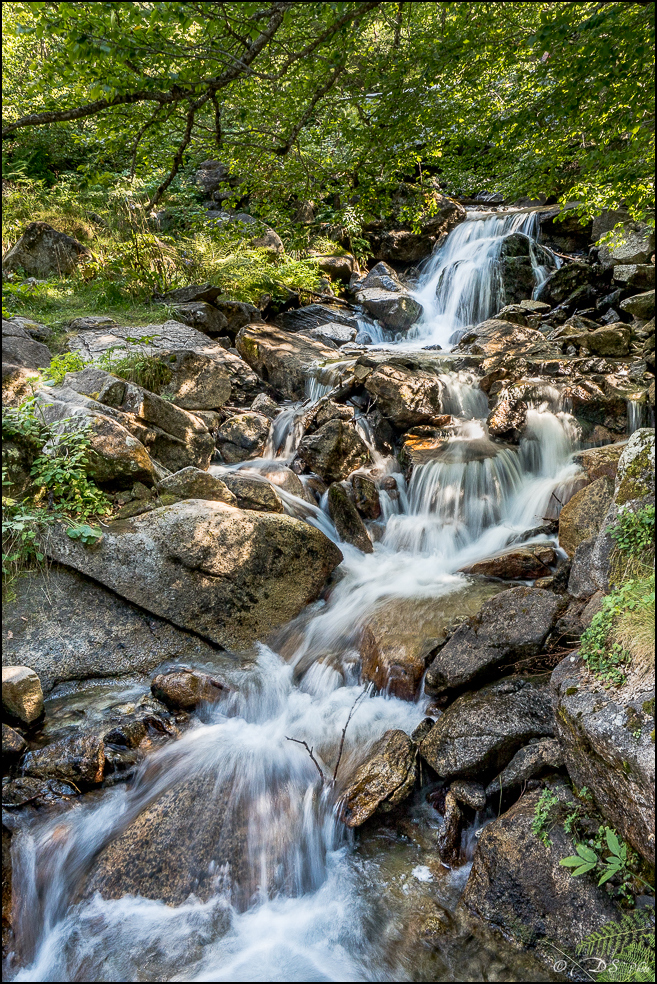 2017-08-23 - Pont d'Espagne et Lac de Gaube-256-HDR-2-800-2.jpg