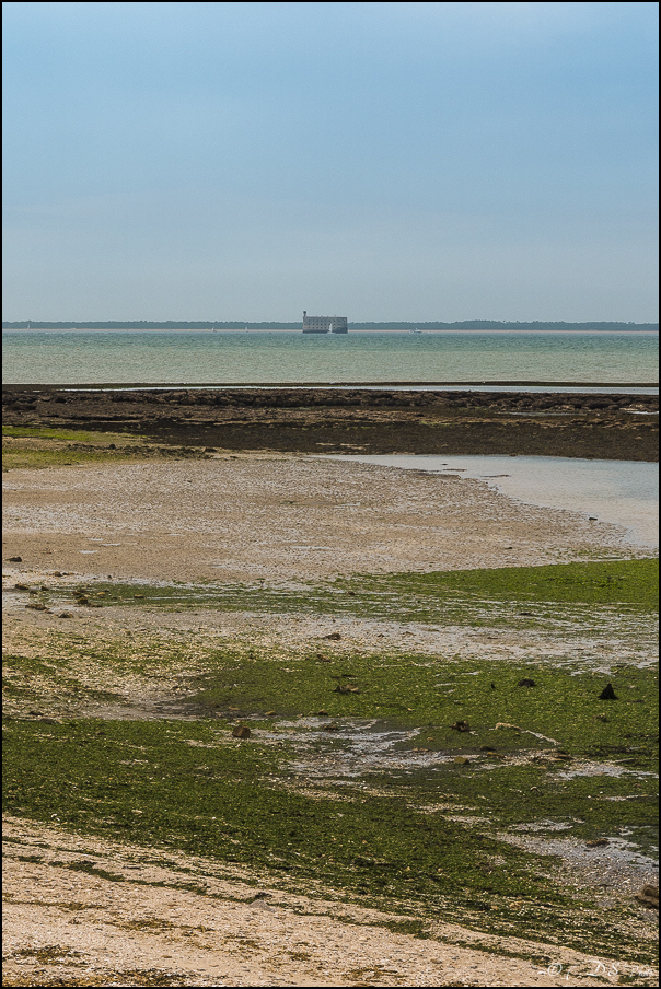 2017-08-28 - Vacances La Rochelle-1422-800.jpg