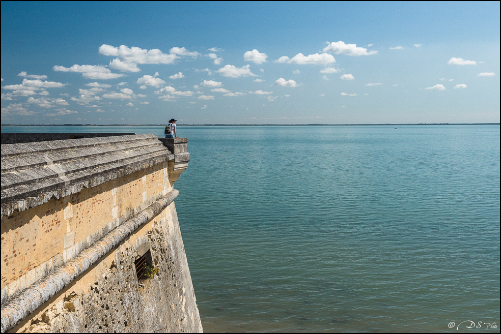 2017-08-28 - Vacances La Rochelle-2436-800-2.jpg