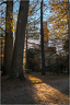 Le Jardin Massey dans la lumière automnale