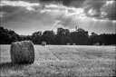 Balles de Foin 2013 - 09.08_tonemapped2-800.jpg