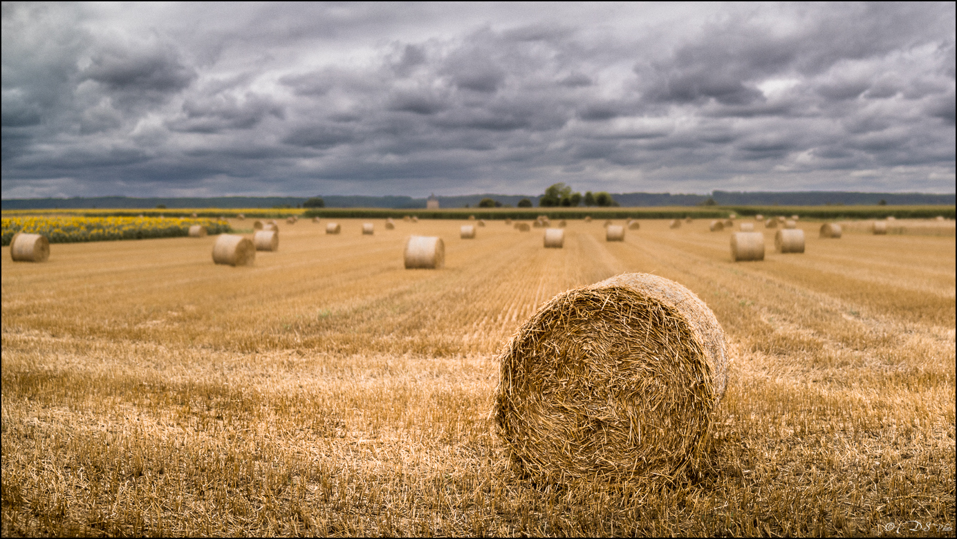 2023-07-12 - Blé et balles de foin-2103-Panorama-800-3.jpg