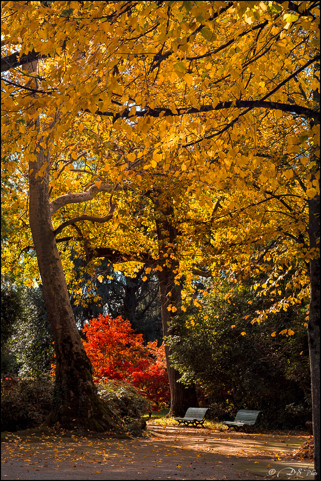 sans titre-2083-Panorama-800.jpg