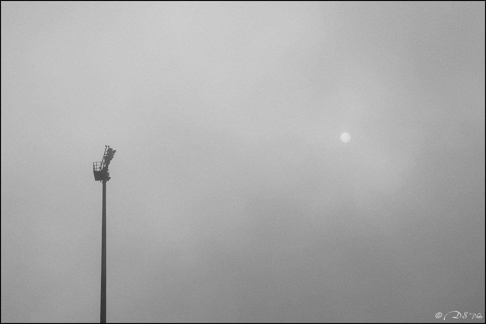 2024-01-27 - Brouillard sur Tarbes-2144-800.jpg
