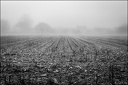 2024-01-27 - Brouillard sur Tarbes-2170-800.jpg