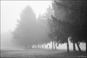 2024-01-27 - Brouillard sur Tarbes-2147-800.jpg