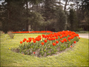 2024-03-20 - Premières couleurs du printemps au Jardin Massey - Exactar 55mm f1.4-101-800.jpg