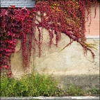 La saison qui saupoudre les couleurs