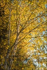 La saison qui saupoudre les couleurs