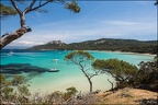 Lumières de Porquerolles