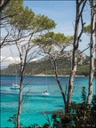 Lumières de Porquerolles