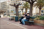 Touristes au pigeon