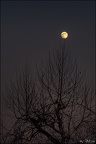 Le réverbère-Lune