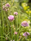 Effets Spéciaux et HDR - Expérimentations
