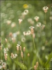Effets Spéciaux et HDR - Expérimentations